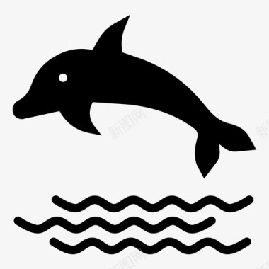 海豚哺乳动物海图标图标
