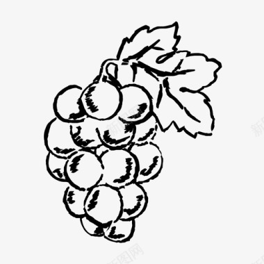 葡萄水果自然图标图标