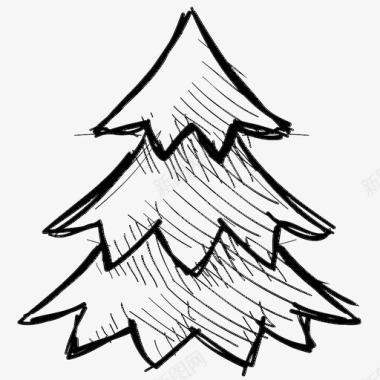 冷杉树圣诞树常青树图标图标