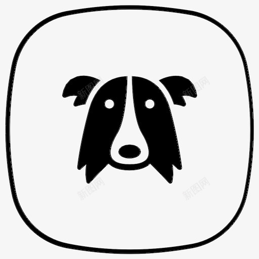 边境牧羊犬动物狗图标svg_新图网 https://ixintu.com 动物 宠物 狗 边境牧羊犬