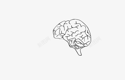 大脑身体神经系统图标图标