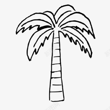 棕榈树手绘父母收藏图标图标