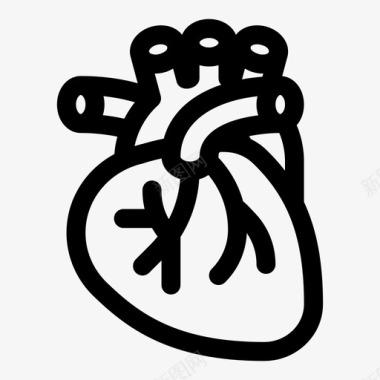 人体心脏解剖心脏解剖图标图标