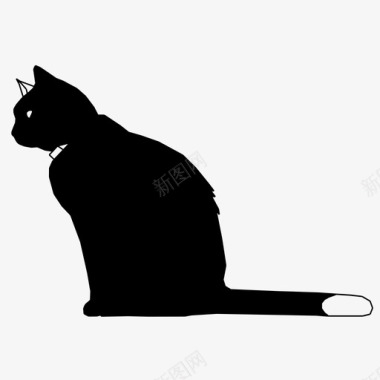 黑猫动物厄运图标图标
