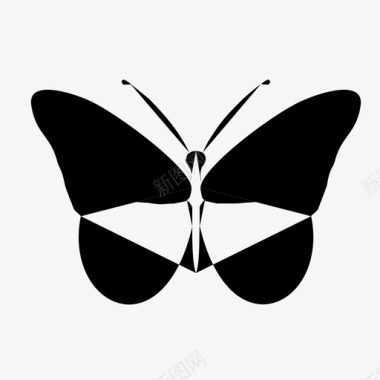 蝴蝶虫子飞翔图标图标