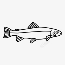 虹鳟鳟鱼捕鱼淡水生物图标高清图片