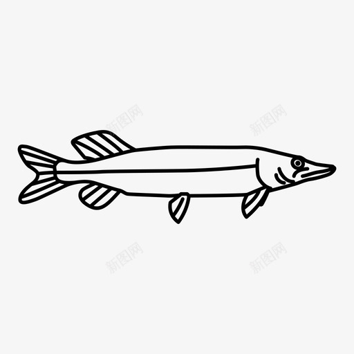北梭子鱼食肉鱼类淡水鱼图标svg_新图网 https://ixintu.com 北梭子鱼 淡水鱼 食肉鱼类 鱼类