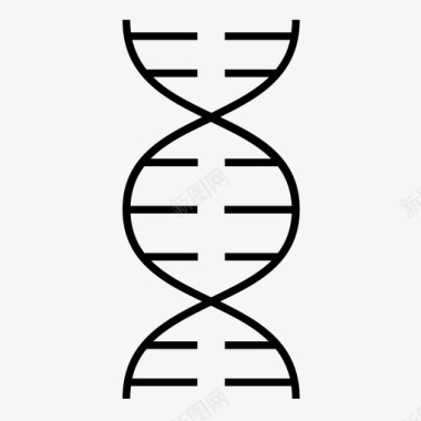 dna家谱遗传学图标图标