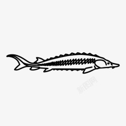 湖鱼鲟鱼鱼淡水鱼图标高清图片