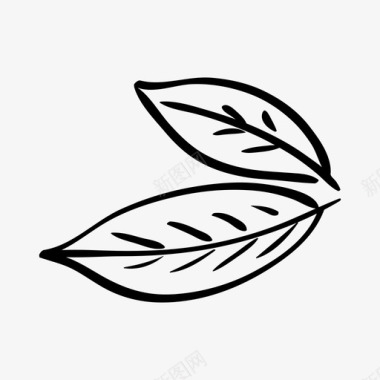 月桂叶厨师植物图标图标