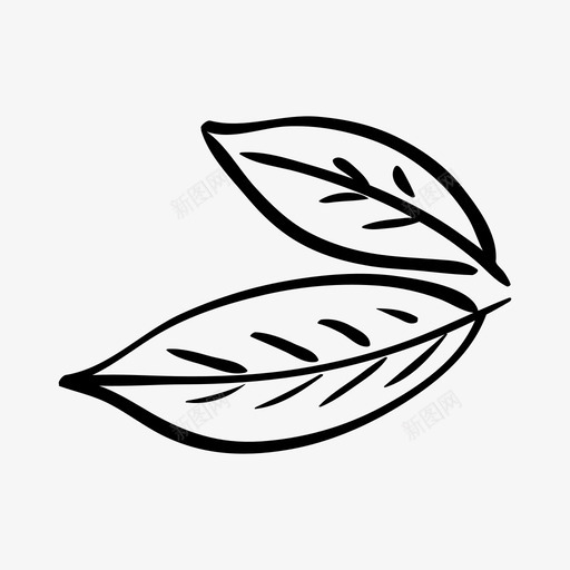 月桂叶厨师植物图标svg_新图网 https://ixintu.com 厨师 月桂叶 植物 汤 香料