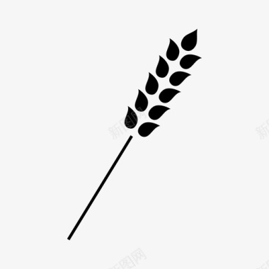 小麦农业面筋图标图标
