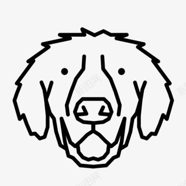 金毛猎犬品种狗图标图标
