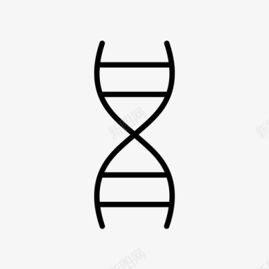 染色体dna进化图标图标