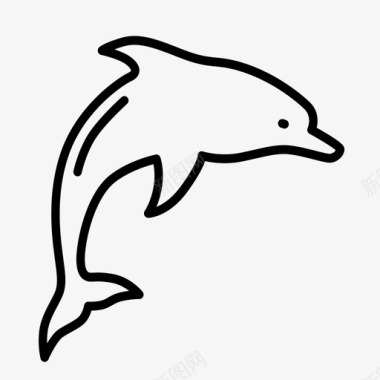 海豚动物海滩图标图标