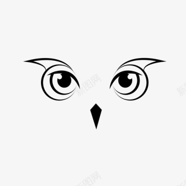 猫头鹰脸鸟夜图标图标
