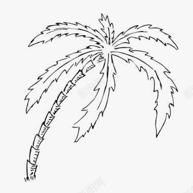 棕榈树手绘夏季图标图标
