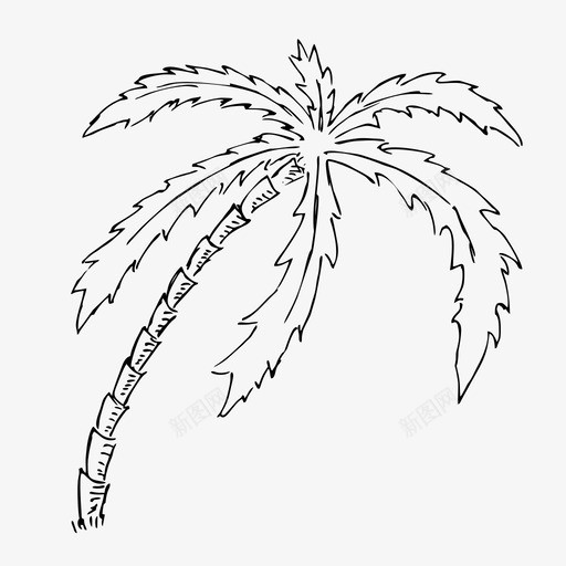 棕榈树手绘夏季图标svg_新图网 https://ixintu.com 夏季 手绘 旅游 棕榈树