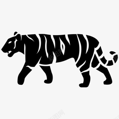老虎动物大图标图标