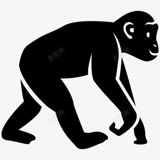 猴子猿黑猩猩图标svg_新图网 https://ixintu.com 哺乳动物i 狨猴 猴子 猿 长臂猿 黑猩猩