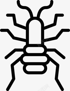 跳蚤虫子昆虫图标图标