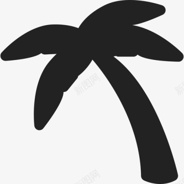 树椰子药草图标图标