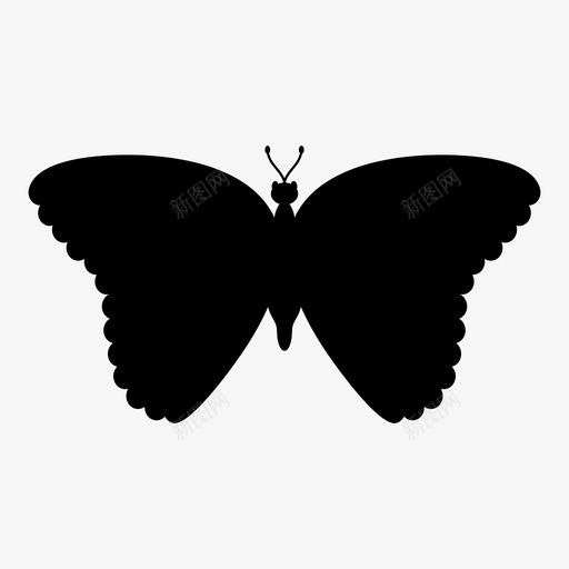 蝴蝶动物昆虫图标svg_新图网 https://ixintu.com 动物 大自然 昆虫 蝴蝶