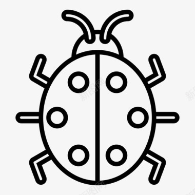 瓢虫昆虫大自然图标图标
