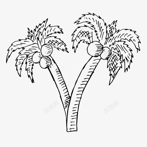 棕榈树素描夏天图标svg_新图网 https://ixintu.com 夏天 我的妻子收藏 旅游 旅行 棕榈树 素描
