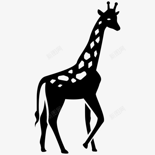 长颈鹿非洲动物图标svg_新图网 https://ixintu.com 动物 哺乳动物i 热带草原 狩猎 野生 长颈鹿 非洲