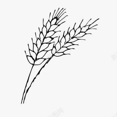 小麦玉米农作物图标图标