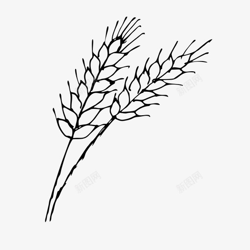 小麦玉米农作物图标svg_新图网 https://ixintu.com 农作物 小麦 我父母的收藏 植物 玉米 素描 自然
