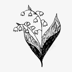 山谷百合山谷百合花卉手绘图标高清图片