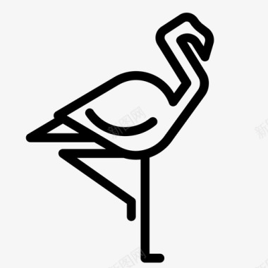 火烈鸟动物鸟图标图标