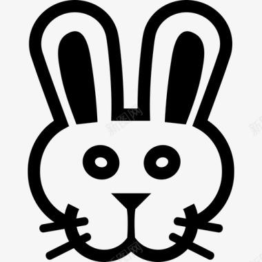兔子脸前动物有趣的动物图标图标