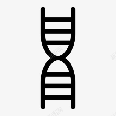 dna染色体进化图标图标