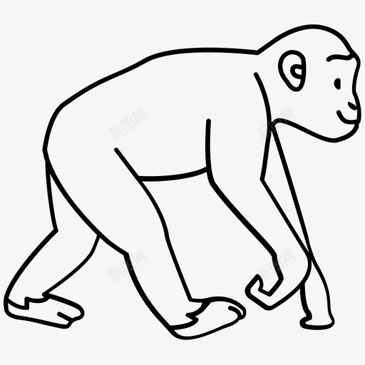 猴子猿黑猩猩图标svg_新图网 https://ixintu.com 哺乳动物 狨猴 猴子 猿 长臂猿 黑猩猩