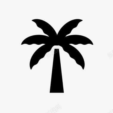 棕榈树自然热带图标图标