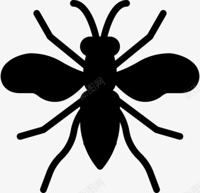 黄蜂虫子昆虫图标图标
