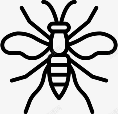 黄蜂小虫昆虫图标图标