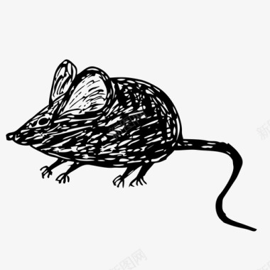 老鼠动物自然图标图标