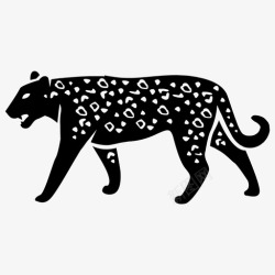 捕食的豹子豹子大猫迷彩图标高清图片