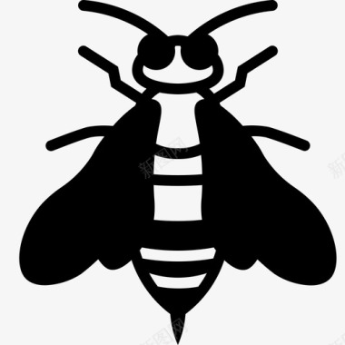 有刺的蜜蜂养蜂昆虫图标图标