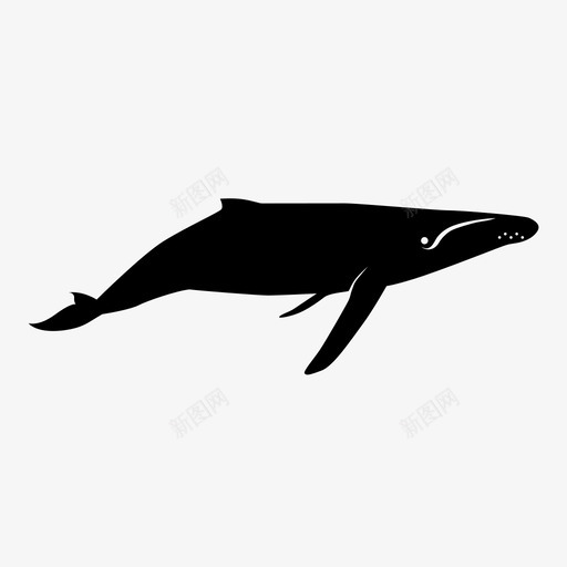 座头鲸巨鲸海洋图标svg_新图网 https://ixintu.com 巨鲸 座头鲸 海洋 海洋生物 游泳 鲸鱼