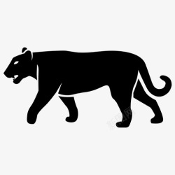 食肉动物猫美洲狮大型食肉动物图标高清图片