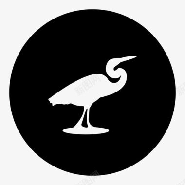 鸟动物苍鹭图标图标