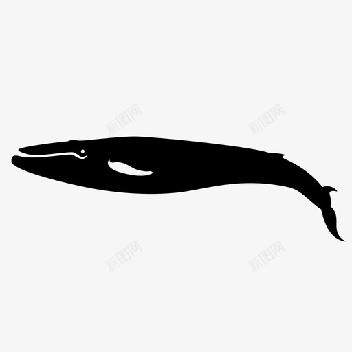 蓝鲸巨大的海洋图标svg_新图网 https://ixintu.com 巨大的 海洋 海洋生物 游泳 蓝鲸 鲸鱼