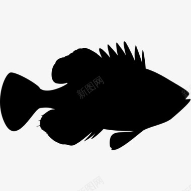 鱼类鱼类集合图标图标