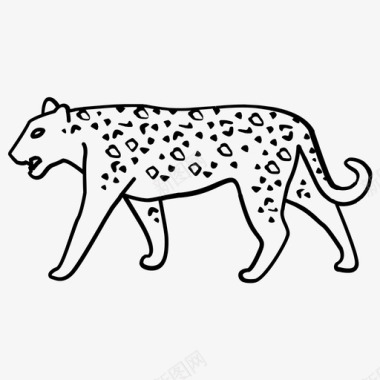豹大猫迷彩图标图标