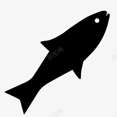 鱼动物海鱼图标图标
